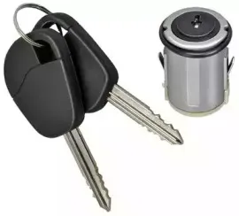 Цилиндр замка ELECTRIC LIFE купить