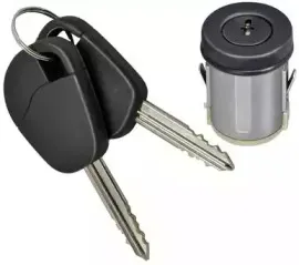 Цилиндр замка ELECTRIC LIFE купить