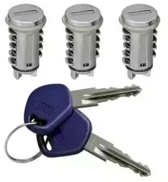 Цилиндр замка ELECTRIC LIFE купить