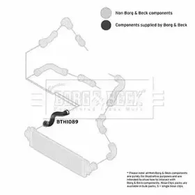 Трубка нагнетаемого воздуха BORG & BECK купить