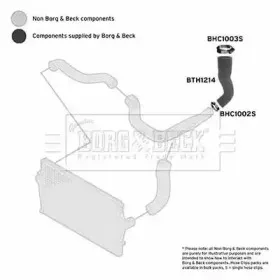 Трубка нагнетаемого воздуха BORG & BECK купить