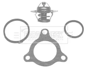 Термостат, охлаждающая жидкость BORG & BECK купить