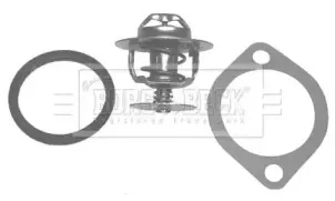 Термостат, охлаждающая жидкость BORG & BECK купить