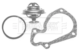 Термостат, охлаждающая жидкость BORG & BECK купить