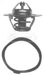 Термостат, охлаждающая жидкость BORG & BECK купить