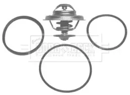 Термостат, охлаждающая жидкость BORG & BECK купить