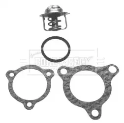 Термостат, охлаждающая жидкость BORG & BECK купить