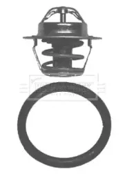 Термостат, охлаждающая жидкость BORG & BECK купить