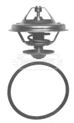 Термостат, охлаждающая жидкость BORG & BECK купить