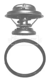 Термостат, охлаждающая жидкость BORG & BECK купить