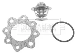 Термостат, охлаждающая жидкость BORG & BECK купить