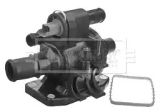 Термостат, охлаждающая жидкость BORG & BECK купить