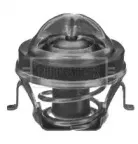 Термостат, охлаждающая жидкость BORG & BECK купить