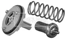 Термостат, охлаждающая жидкость BORG & BECK купить