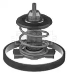 Термостат, охлаждающая жидкость BORG & BECK купить