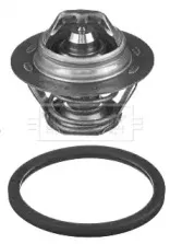 Термостат, охлаждающая жидкость BORG & BECK купить