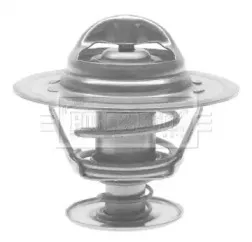 Термостат, охлаждающая жидкость BORG & BECK купить