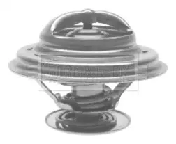 Термостат, охлаждающая жидкость BORG & BECK купить