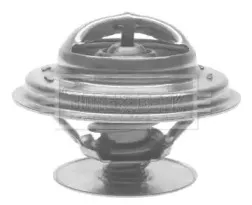 Термостат, охлаждающая жидкость BORG & BECK купить