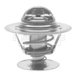 Термостат, охлаждающая жидкость BORG & BECK купить