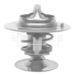 Термостат, охлаждающая жидкость BORG & BECK купить