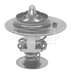 Термостат, охлаждающая жидкость BORG & BECK купить