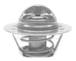 Термостат, охлаждающая жидкость BORG & BECK купить