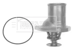 Термостат, охлаждающая жидкость BORG & BECK купить