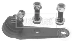 Несущий / направляющий шарнир BORG & BECK купить