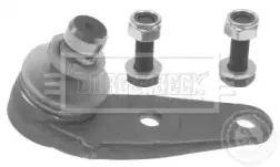 Несущий / направляющий шарнир BORG & BECK купить