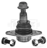 Несущий / направляющий шарнир BORG & BECK купить