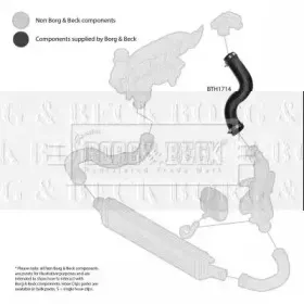 Трубка нагнетаемого воздуха BORG & BECK купить