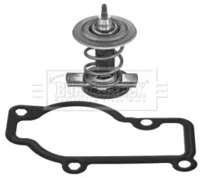 Термостат, охлаждающая жидкость BORG & BECK купить