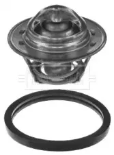 Термостат, охлаждающая жидкость BORG & BECK купить