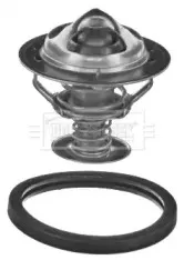 Термостат, охлаждающая жидкость BORG & BECK купить