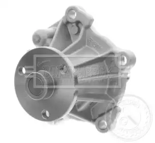 Водяной насос BORG & BECK купить