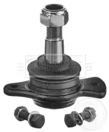 Несущий / направляющий шарнир BORG & BECK купить