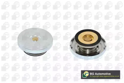 Крышка, резервуар охлаждающей жидкости BGA купить