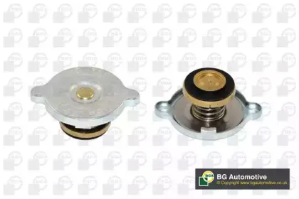 Крышка, резервуар охлаждающей жидкости BGA купить