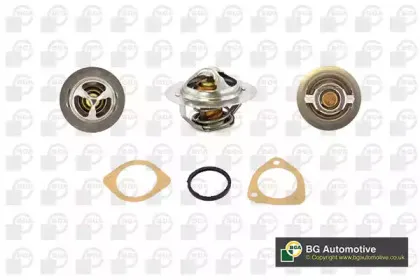 Термостат, охлаждающая жидкость BGA купить