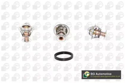 Термостат, охлаждающая жидкость BGA купить