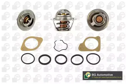 Термостат, охлаждающая жидкость BGA купить