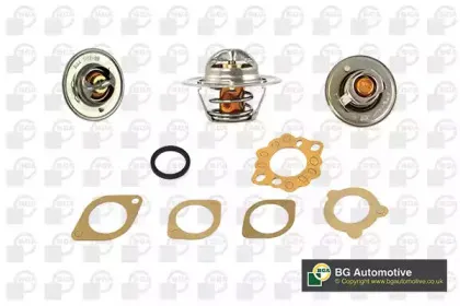 Термостат, охлаждающая жидкость BGA купить