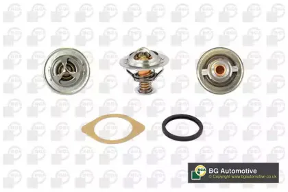 Термостат, охлаждающая жидкость BGA купить