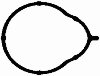 Прокладка колектора двигуна гумова BGA купить