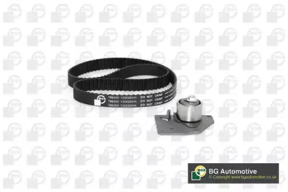 Роликовий модуль натягувача ременя (ролик, ремінь) BGA купить