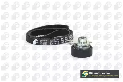 Роликовий модуль натягувача ременя (ролик, ремінь) BGA купить