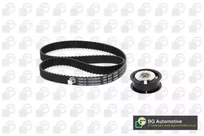 Роликовий модуль натягувача ременя (ролик, ремінь) BGA купить