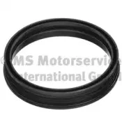 Кольцо уплотнительное PIERBURG купить