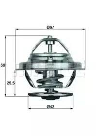 Термостат, охлаждающая жидкость BEHR купить